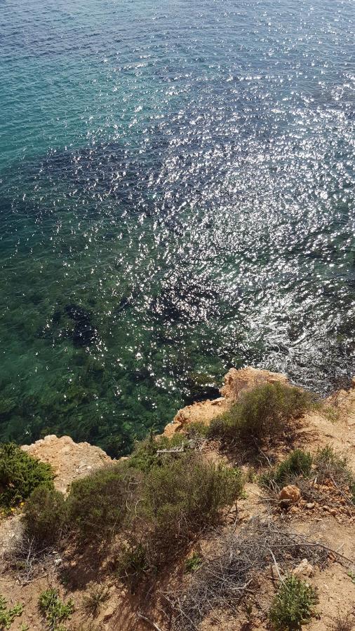 Marinamed Residential Villa Sea View Dehesa de Campoamor  Εξωτερικό φωτογραφία